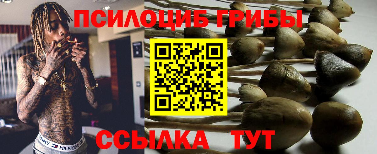Междуреченск  Галлюциногенные грибы прущие грибы  Вход с VPN 