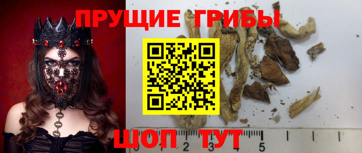 Псилоцибиновые грибы Magic Shrooms Междуреченск